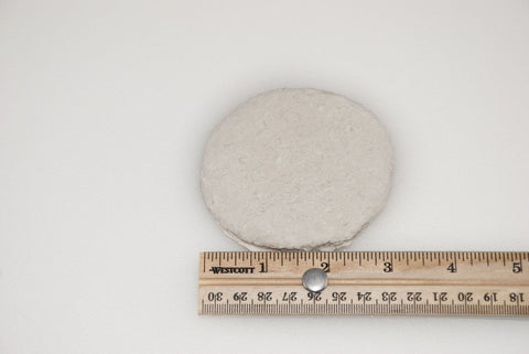 General Mills Pillsbury Unbaked Southern Easy Split Biscuit Dough, 3.17 Ounce -- 168 per case.