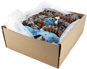 Seamazz Lobster Tail, 4 to 5 Ounce -- 32-40 per case