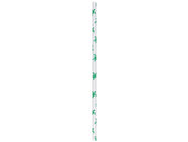 Aardvark Unwrapped Sea Turtle Jumbo Paper Straw, 7.75 inch -- 4800 per case