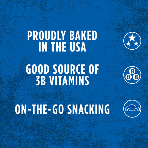 Kellogg's® PASTRY POP-TART CINNAMON