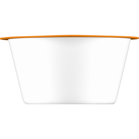 Cereal Frosted Mini-wheats® Bite Size Bowl Pack