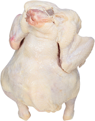 Tyson® CHICKEN WHOLE WOG EXTRA LARGE 12-HEAD 10122060928