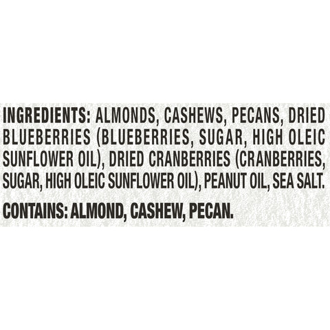 Planters SNACK NUT-RITION ALMOND CASHEW PECAN BLUEBERRIES CRANBERRIES & A TOUCH OF SALT ANTIOXIDANT MIX