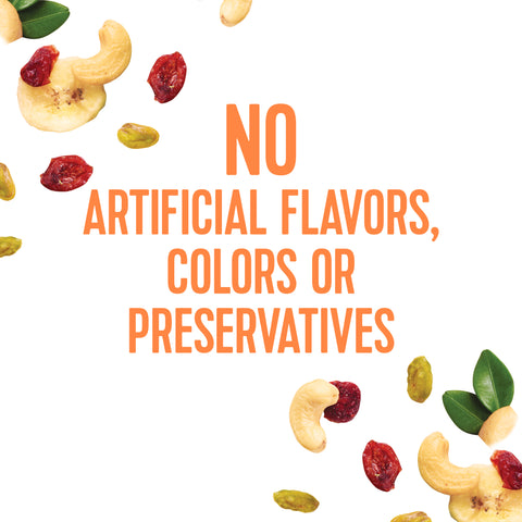 Planters SNACK NUT-RITION CASHEW CRANBERRIES BANANA CHIPS PISTACHIO & A TOUCH OF SALT ENERGY MIX